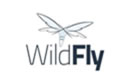 wildfly